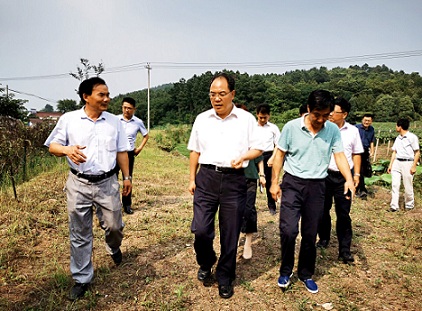 趙振華實地調(diào)研六國扶貧項目時要求    努力做強(qiáng)做優(yōu)集體產(chǎn)業(yè)   帶動更多群眾脫貧致富